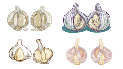 Fresh garlic head cut in half revealing cloves and texture, natural culinary ingredient isolated and detailed, healthy organic food concept for cooking, seasoning, kitchen use and nutrition themes