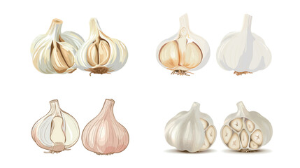 Fresh garlic head cut in half revealing cloves and texture, natural culinary ingredient isolated and detailed, healthy organic food concept for cooking, seasoning, kitchen use and nutrition themes