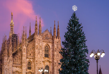 Cathedral of Milan and Christmas tree at Dusk