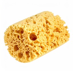 Porous, yellow, cylindrical sponge, isolated