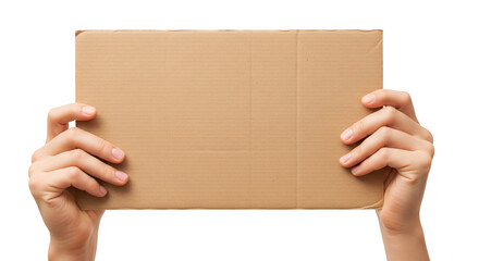 Hands Holding Empty Cardboard Box Against Plain Background