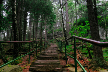 Fototapeta premium Stairs with a railing on a mountain hiking trail. Stolowe Mountains in Poland, trail to Szczeliniec Wielki.