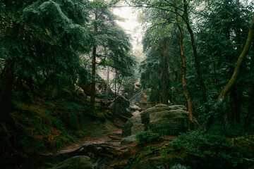 Mountain hiking trail among forest and rocks. Stolowe Mountains in Poland, trail to Szczeliniec Wielki. 