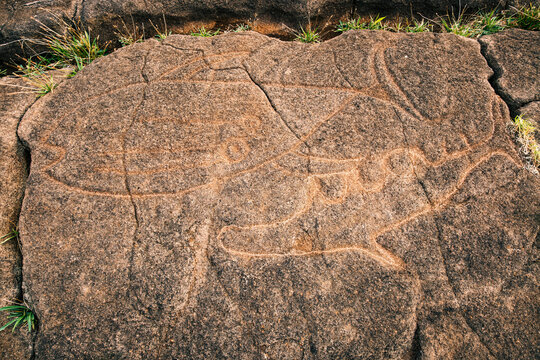 Papa Mango rock at the Papa Vaka archaeological site, Rapa Nui (Easter Island), Chile. The petroglyphs on this rock represent a tuna and a shark (mango in Rapa Nui language).