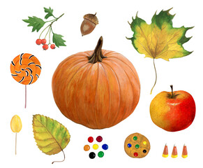 Autumn set pumpkin, apple, leaves and sweets hand painted illustration on white