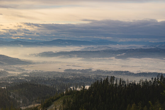 View of the landscape shrouded in mist, with dark forest edges contrasting the soft, diffused light of the sky in Babia Hora, Zilina Region, Slovakia.