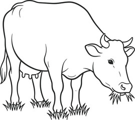 Black and white cow grazing on grass in a field