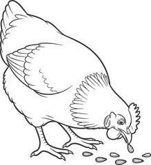Chicken Pecking Corn  Farm Animal Coloring Page