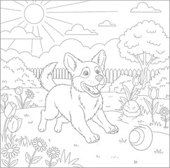 Happy Puppy Playing in Garden on Sunny Day