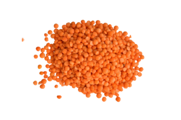 A small pile of orange lentil grains isolated on a PNG background.