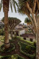 La Orotava, Tenerife, Spain 03.06.2018: Photos taken in La Orotava, Tenerife, showcasing a beautiful garden view with lush vegetation and traditional buildings