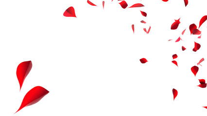 ポインセチアの葉の乱舞、背景透過：Poinsettia flowers dance, background transparent