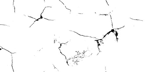 Black and white ink vector illustration with grunge paint splashes and nature-inspired texture design