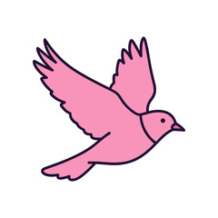 Pink Bird Flying Gracefully Isolated on White Background.