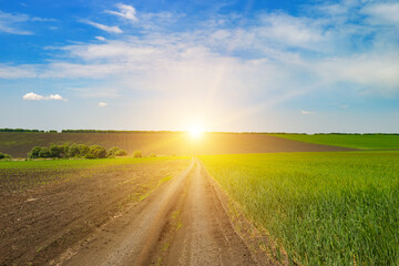 Sunrise Over Rural Dirt Road and Expansive Farmland Landscape