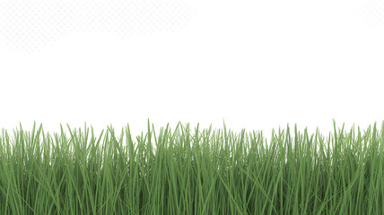 Obraz premium Green Grass Isolated on Transparent Background