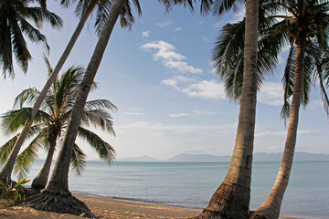 Maenam tropical sandy beach with coconut palms at sunset. Koh Samui, Thailand