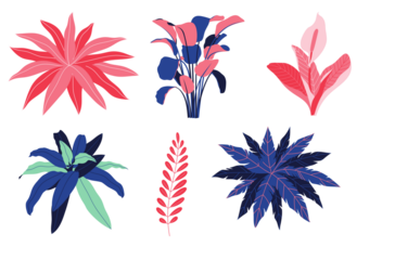 Collection of stylized tropical plants in pink, red, and blue hues isolated on transparent background
