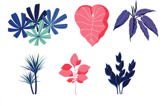 Collection of stylized tropical and abstract foliage illustrations in blue, pink, and green hues isolated on transparent background - Powered by Adobe