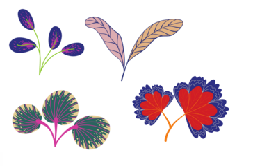 Collection of stylized tropical and abstract botanical leaf illustrations isolated on transparent background
