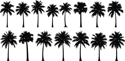 Collection of black palm tree silhouette vectors featuring tropical summer designs ideal for beach illustrations, travel graphics, nature themes, and decorative artwork.