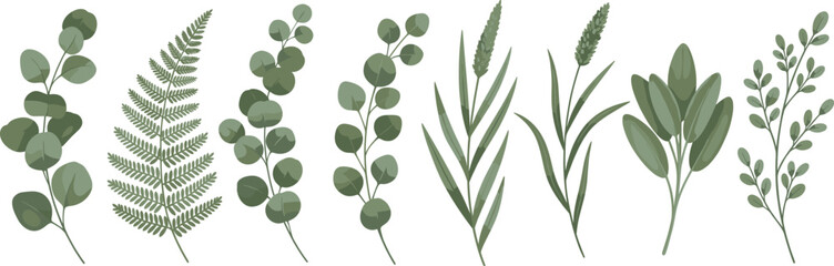 Fototapeta premium Botanical greenery vector set featuring eucalyptus, fern, and wild foliage illustrations, perfect for wedding designs, nature themes, floral arrangements, branding, and decorative artwork.