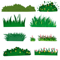set of green grass