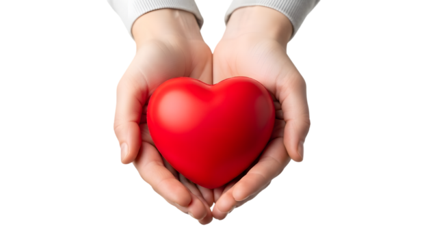 Hands holding a red heart isolated on transparent background - Powered by Adobe