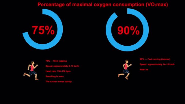 Alpha channel animation showing oxygen consumption differences between slow and fast running.
Two runners compared: slow runner at 75% oxygen consumption, fast runner at 90%.
Fully transparent 