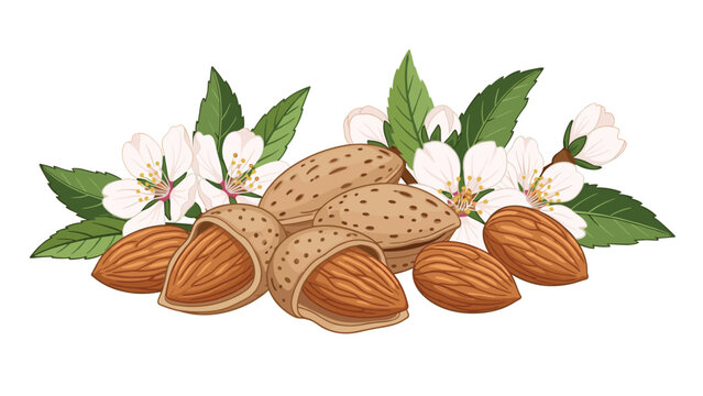 A vibrant illustration of almonds with green leaves and white flowers on a, showcasing the nuts both shelled and unshelled