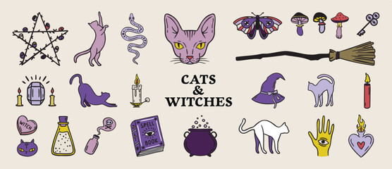 Cats and witches set spellbooks and cauldrons, candles and cat head, broom and rose, Halloween palette hand drawn
