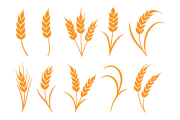 Wheat icon set. Collection of black wheat ear silhouettes, ideal for agriculture logos, organic product labels, and rural themed designs. Vector illustration. EPS 10