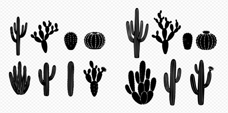 Set of black silhouettes of various desert cacti plants on transparent background.