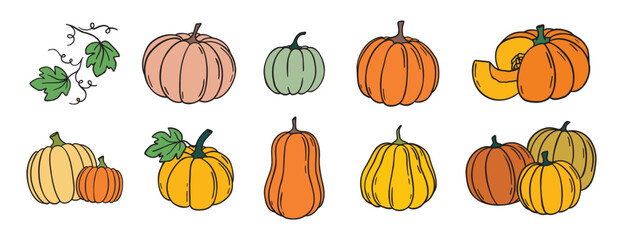 pumpkin and pumpkin leaves autumn harvest doodle hand drawn icon set. Cartoon colorful drawing pumpkin clipart symbol collection