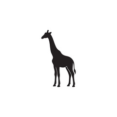 Black silhouette of giraffe on transparent background