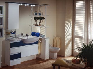 Single shot photo of a room with bathroom furniture