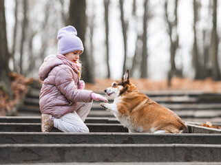 Little Girl Training Her Corgi Dog to Give Paw in the Park