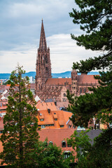 Germany, Beautiful view freiburg im breisgau city houses skyline downtown minster cathedral church old town tourism destination between green trees