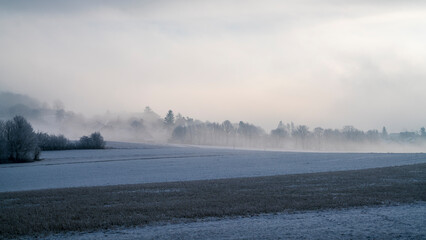 Germany, Icy snowy covered winter wonderland fields nature landscape sunny morning panorama silence at the edge of the forest perfect peace for relaxation walking hiking in fog and sun