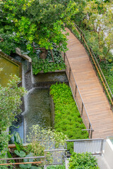 Walkways and wooden paths in Dusit Park on a Bangkok rooftop, surrounded by fresh greenery and offering elevated city views that blend modern design with calm natural space.