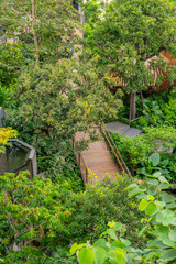 Walkways and wooden paths in Dusit Park on a Bangkok rooftop, surrounded by fresh greenery and offering elevated city views that blend modern design with calm natural space.
