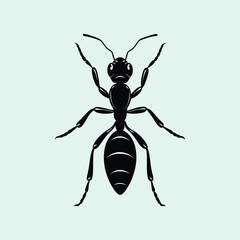 Vector illustration ant icon