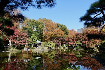 東京, 日比谷公園の紅葉
