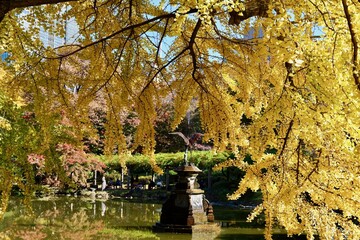 東京, 日比谷公園の紅葉
