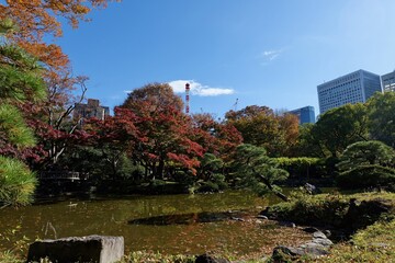 東京, 日比谷公園の紅葉
