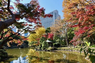東京, 日比谷公園の紅葉
