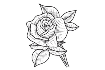 Hand-drawn rose flower illustration in traditional tattoo style, vintage engraving sketch with leaves on a black background.