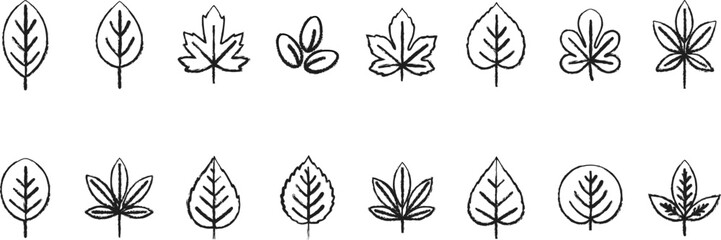 Set of Hand-Drawn Sketchy Black and White Outline Leaf Icons and Botanical Elements
