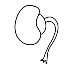 pea seed growth nature hand drawn organic line
