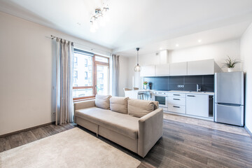 Modern Home Bright Open Concept Apartment Interior with Kitchen and Living Room